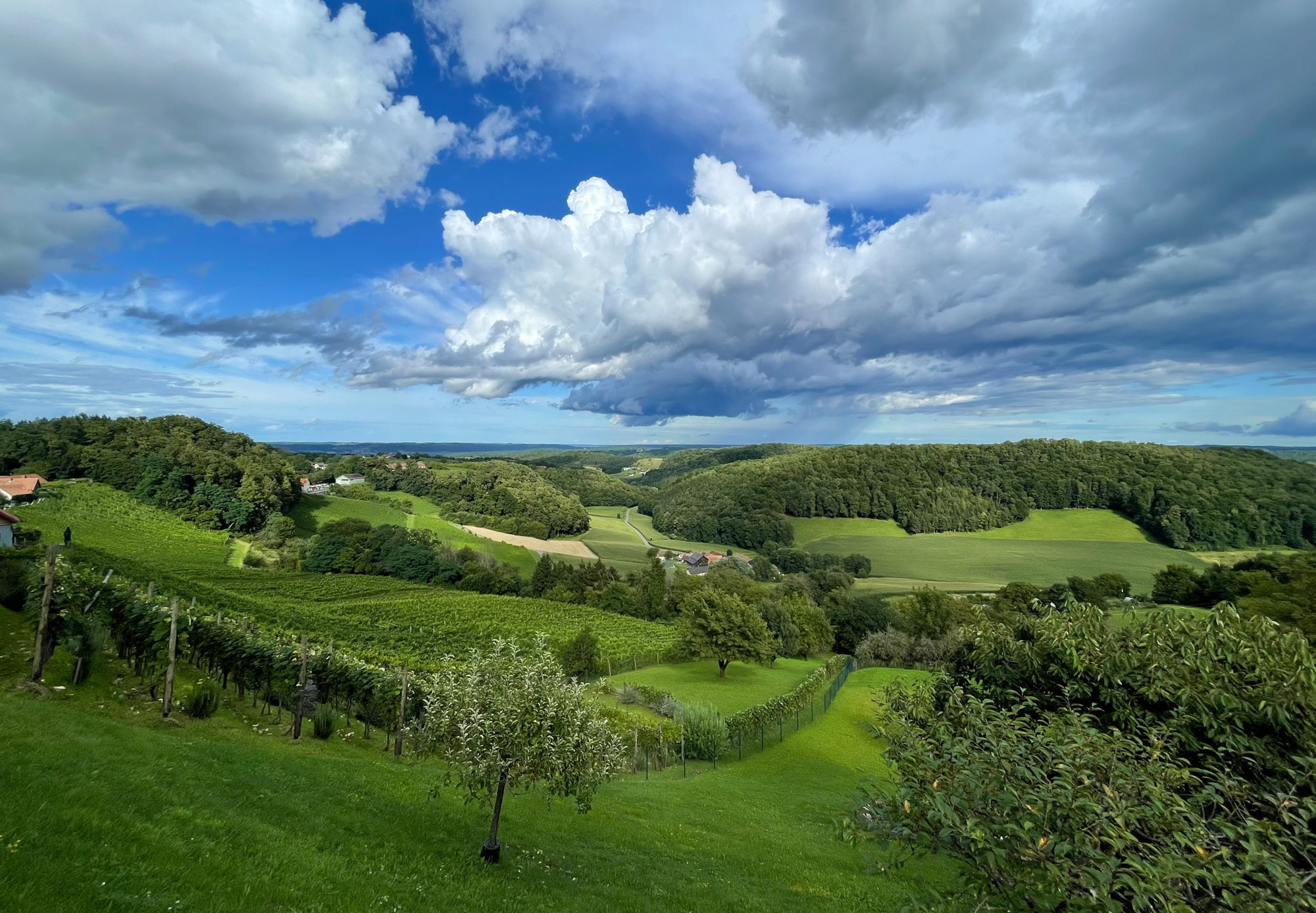 Panorama Vulkanland